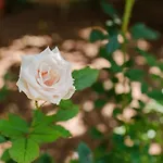 Ardesia Vacanze 度假居 瓦尔德利切