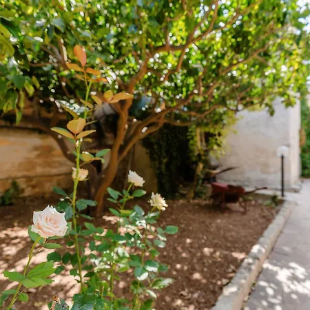 Ardesia Vacanze